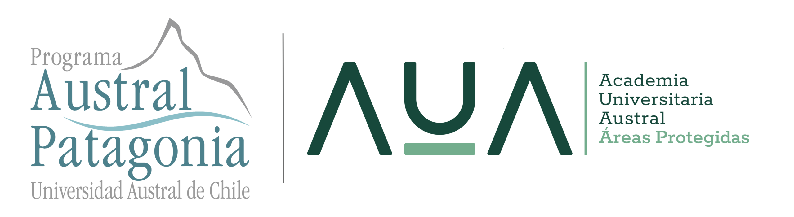 Academia Universitaria Austral